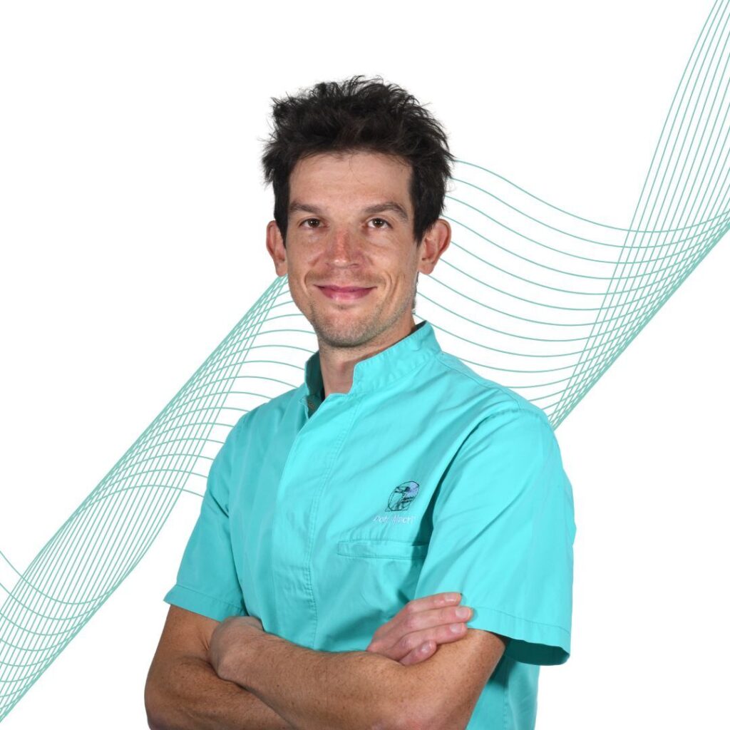 Dott. Dario Macrì - Odontoiatra. Terapia Conservativa, Endodontica e Protesica